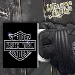 moto, bike, мото, мотоцикл